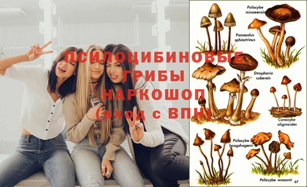 мяу мяу мука Приозерск