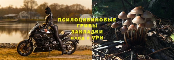мяу мяу мука Приозерск