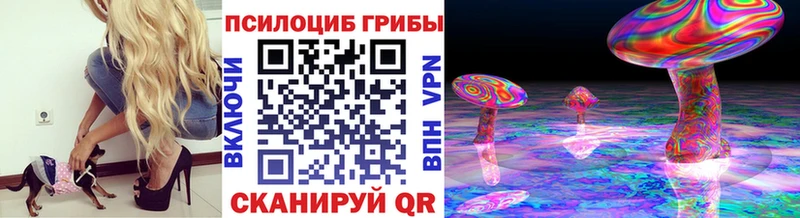 гидра сайт  Теберда  Галлюциногенные грибы прущие грибы 