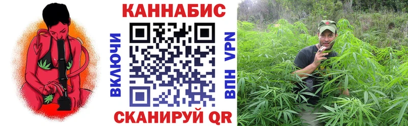 что такое   hydra ссылка  Бошки Шишки семена  Теберда 